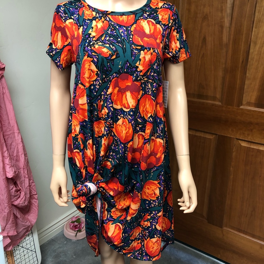 Small Carly Dress